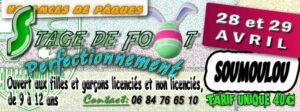 Le stage U11/U13 aura lieu le 28 et 29 avril à Soumoulou